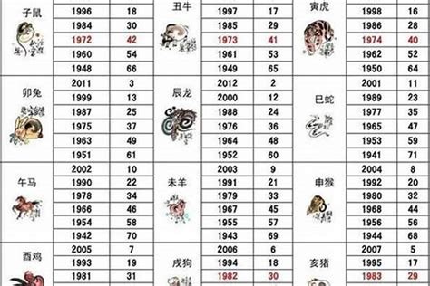 49属什么|49岁属什么生肖 49岁属什么生肖2023